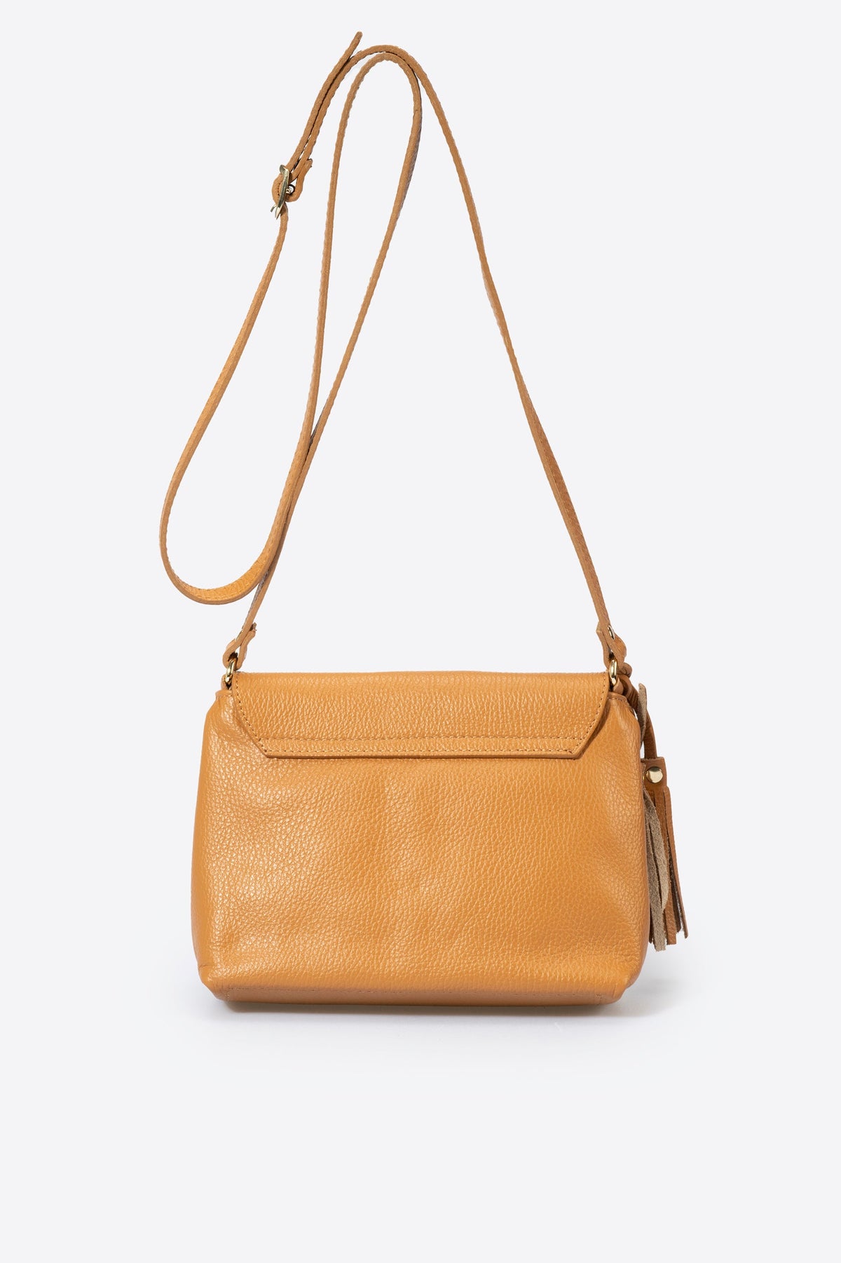 ASTER Leather Crossbody Bag - Cuoio